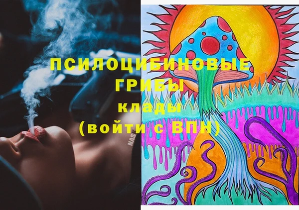 прущая мука Краснослободск