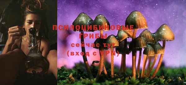 прущая мука Краснослободск