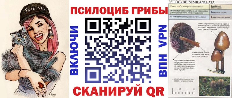 Галлюциногенные грибы Magic Shrooms  Купить  Солигалич 